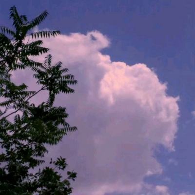 星空体育电子竞技截图